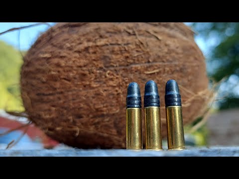22LR for Self Defense? - Coconut Test #shorts