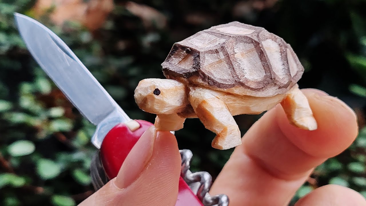 Whittle a 1x1 Tortoise | Step-By-Step Beginner Tutorial