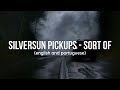 Silversun Pickups - Sort Of (lyrics) | The Vampire Diaries Soundtrack