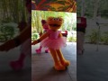 Sesame Street Safari Of Fun Because We Re Friends