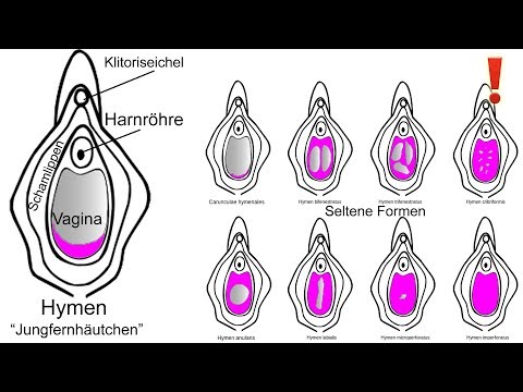 Sex mit minderjährigen Taiko Video Porno Dreier mzhm.
