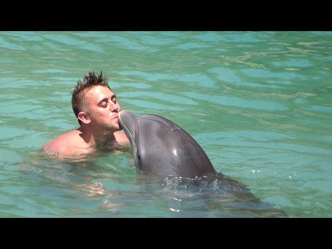 getting frisky with a dolphin