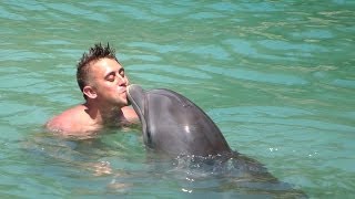 Dolphin cards Getting Frisky With A Dolphin, Smile More Merch Yesterdays Vlog