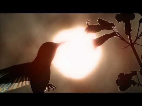 Ralphie B - Cayende (extended mix)