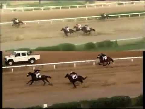 Pakistan horse 🐴🐴 lovers.  Shar ghar queen 👑. recharge   cup