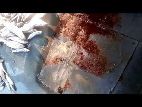 Best Boat Fishing videos 2026Best Bamboo Crossbow Fishing Technique Big Fish Catching From Boat k67