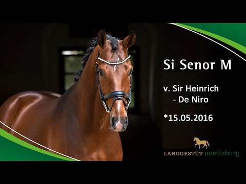 SI SENOR M v. Sir Heinrich – De Niro