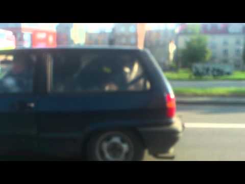Nowy sposób transportu zwierząt
