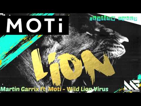 Martin Garrix ft. Moti Wild Lion Virus (Skyline Mashup)