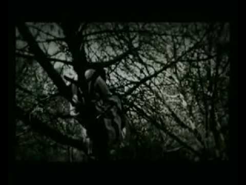 SR.ALFAIATE - O MEU LUGAR_x264.mp4