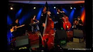 Willard Grant Conspiracy - Color of the sun