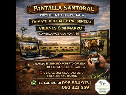 Remate por Pantalla Santoral en vivo