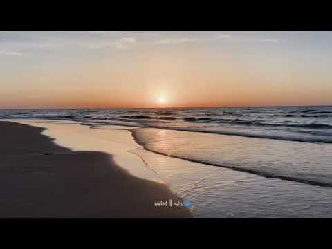 sea 🌊 #shortsclip#shortscraft#youtube#youtuber#subscribe#shortsadoptme#shortsroblox#shortsanity