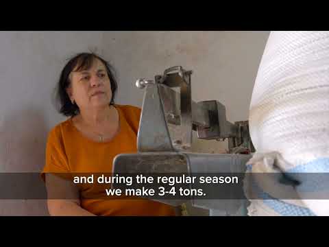 The energy efficient mill from Costuleni