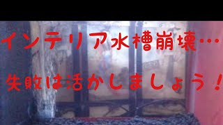 【金魚】玄関先のインテリア水槽リセットしました！