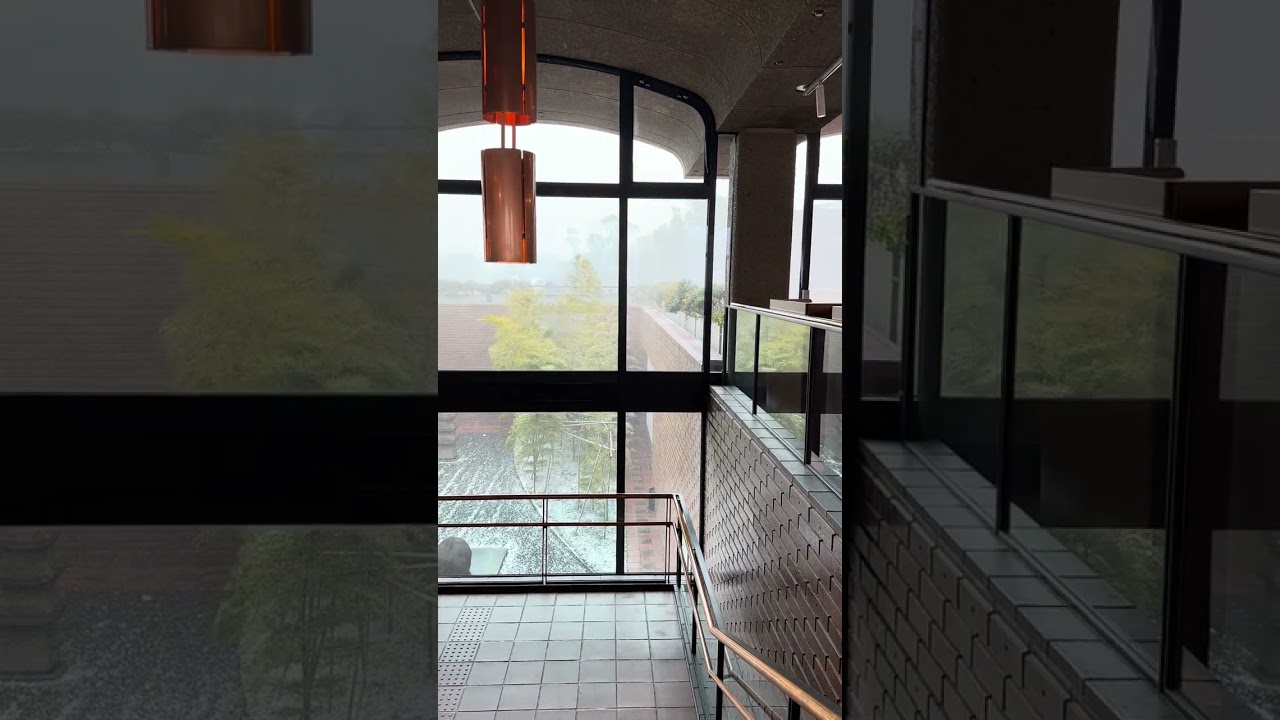 YouTube Short thumbnail