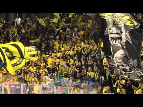 9.1.2016 Kookoo - SaiPa ottelun jälkihulinat