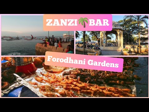 Zanzibar - Jardim forodhani à noite|Tour rápido|Forodhani