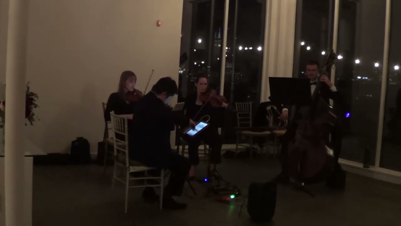 Promotional video thumbnail 98 for Xinou Wei Strings