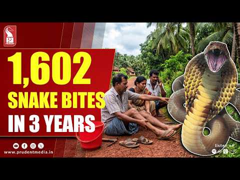 1,602 Snake Bites Reported In Goa In 3 Years; No Fatalities