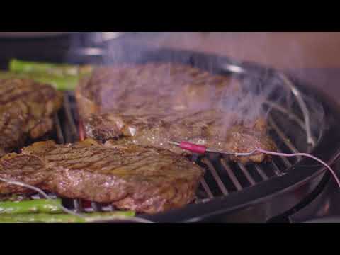Bluetooth термометр Weber iGrill 2 - фото 3 - id-p2641177681