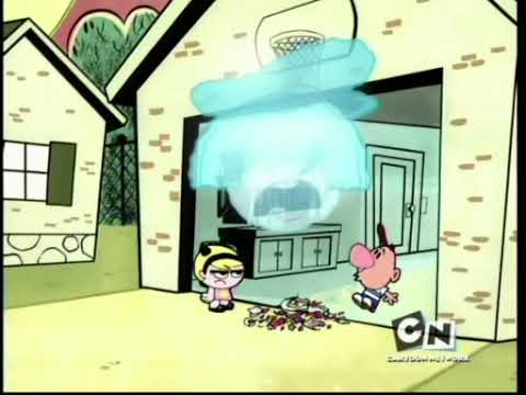 You're Monkey People All Of You!