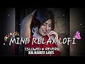 Mind Relax Lofi Mashup Mind Relaxing Songs Mind Relax Lofi Song Slowed And Reverb Trending