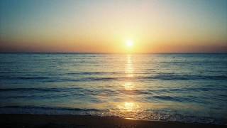 Homegrown - Judy's Happy