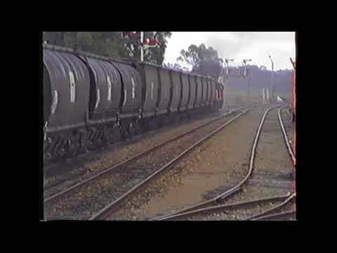 SRF197: STOCKINBINGAL 48s - A SRF QUICKIE