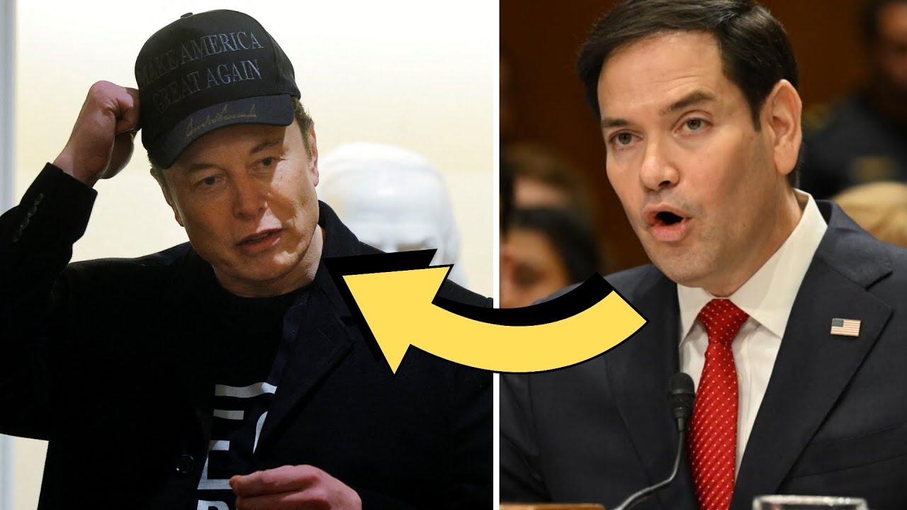 Anger EXPLODES at Elon Musk in emergency cabinet meeting