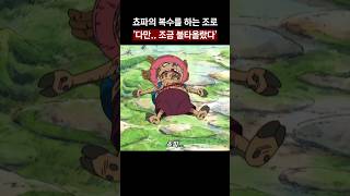 🔥쵸파의 복수를 하는 조로🔥 조금 불타올랐다...