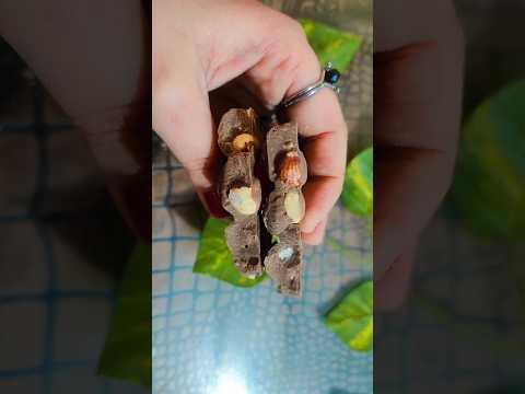 Cadbury dairy milk silk hazelnut 🥺 chocolate unboxing. #short #shortvideo #youtubeshorts