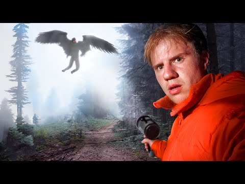 Is Mothman Actually Real?