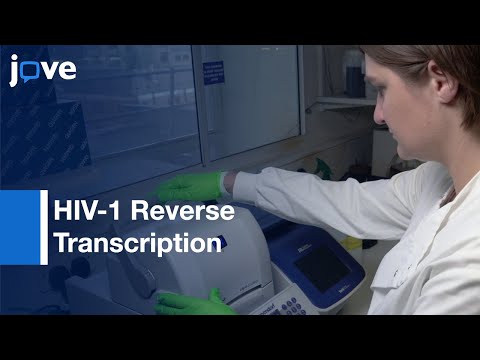 Viral ssDNA Molecules Analysis during HIV-1 Reverse Transcription | Protocol Preview