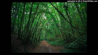 Lucian Green - Canter