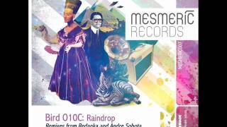 Bird O10C - Raindrop (Andre Sobota Remix) - Mesmeric Records