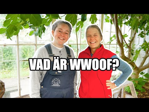 Vad är wwoof? - Kosters Trädgårdar