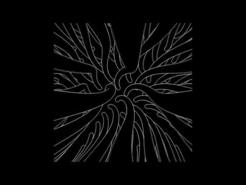 TNC//BAZA////01/WPRLIAADEMYSIE