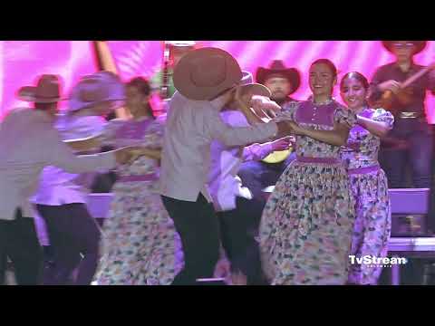 Categoría Única, Profesional Tradicional: Herencia Criolla /Fuente de Oro - Departamento del Meta