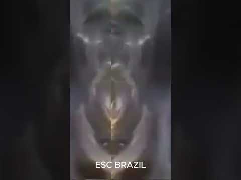 Zorja - Lik u ogledalu (Brazilian version) #ESC2024 #PZE24 #Eurovision2024