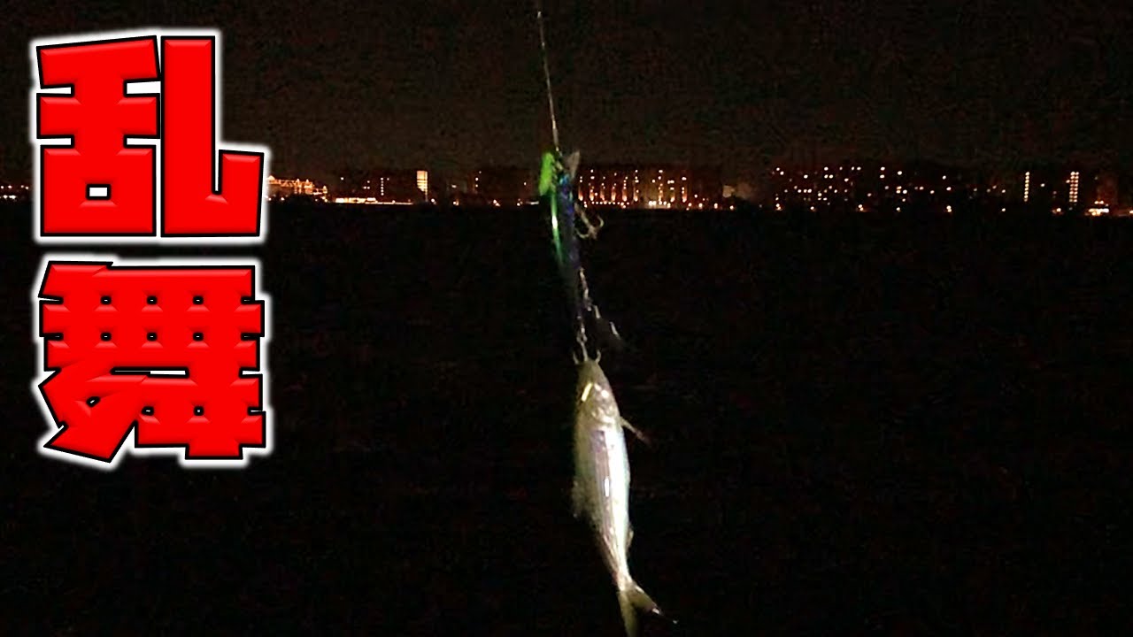 東京湾コノシロのらんちき騒ぎ