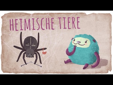 Lerne die Waldtiere kennen mit Flunkeblunk