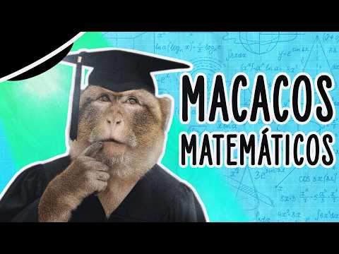 MACACOS TÊM “INSTINTO” GEOMÉTRICO IGUAL AO DE HUMANOS, DIZEM CIENTISTAS | ABDUÇÃO