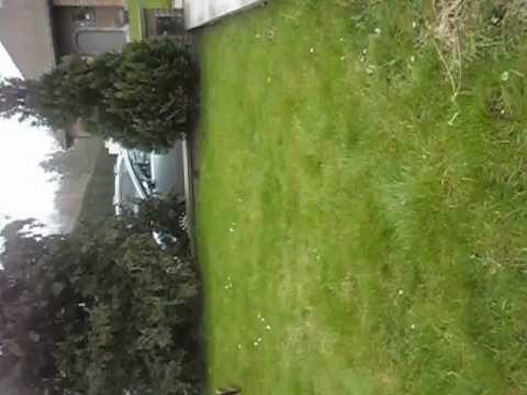 download lagu mp3 mp4 Les Cloches Sont Passes, download lagu Les Cloches Sont Passes gratis, unduh video klip Les Cloches Sont Passes