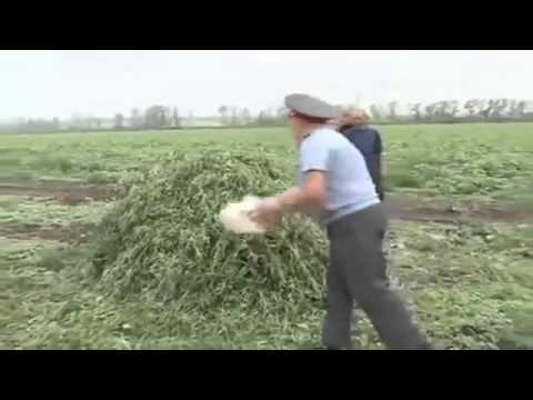 Ćwiczenia na mięśnie grzbietu ze zdjęciami Ból mięśni w przedniej dolnej części nogi