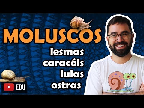 Molluscs - Class 19 - Module VI: Zoology | Prof. Guilherme