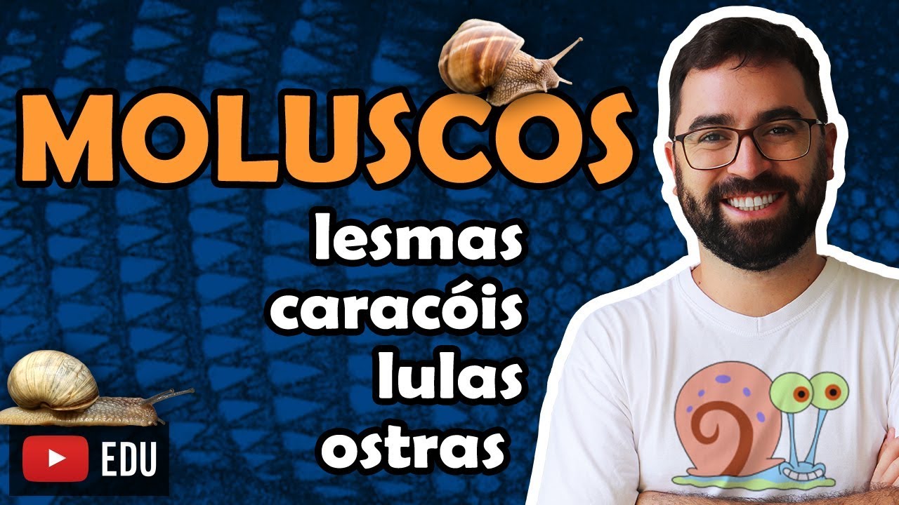 Moluscos - Aula 19 - Módulo VI: Zoologia | Prof. Guilherme