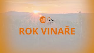Kniha Rok vinaře