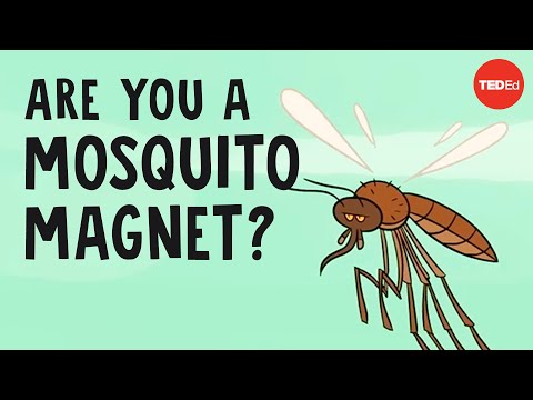 Do mosquitos actually bite some people more than others? - Maria Elena De Obaldia