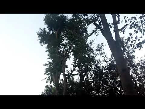 muhammad afaq khan best lifestyle